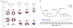 Research Progress of Key Components in Lithium-Sulfur Batteries Fig. 2