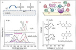 Research Progress of Key Components in Lithium-Sulfur Batteries Fig. 5