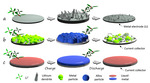 Liquid Metal Electrodes for Electrochemical Energy Storage Technologies Fig. 1