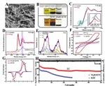 Research Progress of Sulfur Cathode Catalytic Conversions for Lithium-Sulfur Batteries Fig. 2