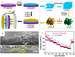 Research Progress of Sulfur Cathode Catalytic Conversions for Lithium-Sulfur Batteries Fig. 7