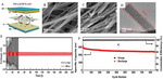 Research Progress of Sulfur Cathode Catalytic Conversions for Lithium-Sulfur Batteries Fig. 8