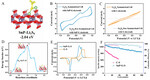 Research Progress of Sulfur Cathode Catalytic Conversions for Lithium-Sulfur Batteries Fig. 12