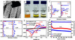 Research Progress of Sulfur Cathode Catalytic Conversions for Lithium-Sulfur Batteries Fig. 13