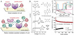 Research Progress of Sulfur Cathode Catalytic Conversions for Lithium-Sulfur Batteries Fig. 16