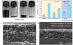 LiCoO2 as Sulfur Host to Enhance Cathode Volumetric Capacity for Lithium-Sulfur Battery Fig. 2