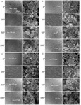 Cycling Performance and Solid-Electrolyte-Interphase Synergic Formation of Silicon Nanoparticles in the Concentrated Electrolyte with Additives Fig. 4