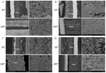 Cycling Performance and Solid-Electrolyte-Interphase Synergic Formation of Silicon Nanoparticles in the Concentrated Electrolyte with Additives Fig. 5