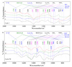 Cycling Performance and Solid-Electrolyte-Interphase Synergic Formation of Silicon Nanoparticles in the Concentrated Electrolyte with Additives Fig. 6