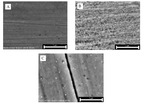 Pitting Behaviors of Passivated and Trans-Passivated 304 Stainless Steel Fig. 6