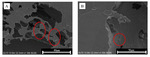 Pitting Behaviors of Passivated and Trans-Passivated 304 Stainless Steel Fig. 7