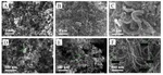 Preparation and Process Optimization of Cathode Materials for Lithium-Sulfur Batteries Fig. 1