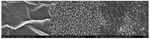 Electrochemical Determination of Dopamine Based on Metal-Substituted Polyoxometalates Composites Fig. 2