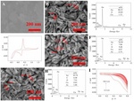 Novel Electrochemical Sensor Based on Integration of Nanoporous Gold with Molecularly Imprinted Polymer for Detection of Arsenic Ion(III) Fig. 2