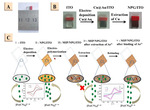 Novel Electrochemical Sensor Based on Integration of Nanoporous Gold with Molecularly Imprinted Polymer for Detection of Arsenic Ion(III) Fig. 3