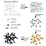 Preparations and Electrochemical Properties of BC/CoNi2S4@PPy Flexible Composites for Supercapacitors Figure 1