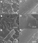 Influence of Resveratrol on Performance of Long-Term Storage’s Lithium-Ion Battery Electrolyte Figure 7