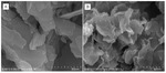 Preparations and Electrocatalytic Ethanol Properties of Palladium Intercalated Hydrotalcite Figure 2