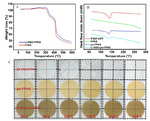 Preparation and Performance Investigation of Li-SGO doped Semi-IPNs Porous Single Ion Conducting Polymer electrolyte Figure 5