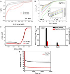 Application of Atomically Precise Metal Nanoclusters in Electrocatalysis Fig. 5