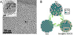 Pd-Based Electrocatalysts for Oxygen Reduction and Ethanol Oxidation Reactions: Some Recent Insights into Structures and Mechanisms