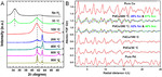 Pd-Based Electrocatalysts for Oxygen Reduction and Ethanol Oxidation Reactions: Some Recent Insights into Structures and Mechanisms