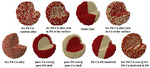 Pd-Based Electrocatalysts for Oxygen Reduction and Ethanol Oxidation Reactions: Some Recent Insights into Structures and Mechanisms