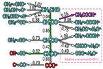 Pd-Based Electrocatalysts for Oxygen Reduction and Ethanol Oxidation Reactions: Some Recent Insights into Structures and Mechanisms