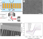 Electrochemiluminescence Imaging Hydrogen Evolution Reaction on Single Platinum Nanoparticles Using a Bipolar Nanoelectrode Array