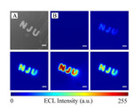 Electrochemiluminescence Imaging Hydrogen Evolution Reaction on Single Platinum Nanoparticles Using a Bipolar Nanoelectrode Array