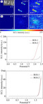 Electrochemiluminescence Imaging Hydrogen Evolution Reaction on Single Platinum Nanoparticles Using a Bipolar Nanoelectrode Array