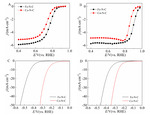 Theoretical Studies of Metal-N-C for Oxygen Reduction and Hydrogen Evolution Reactions in Acid and Alkaline Solutions