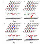 Theoretical Studies of Metal-N-C for Oxygen Reduction and Hydrogen Evolution Reactions in Acid and Alkaline Solutions