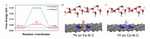 Theoretical Studies of Metal-N-C for Oxygen Reduction and Hydrogen Evolution Reactions in Acid and Alkaline Solutions