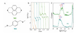 Electrochemical Gating Single-Molecule Circuits with Parallel Paths