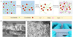 Preparation and Characterization of “Water-in-Salt” Polymer Electrolyte for Lithium-Ion Batteries Figure 1