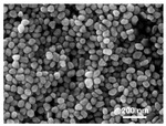 Electrochemical Surface-Enhanced Raman Spectroscopic Studies on Nickel Ultramicroelectrode Figure 1