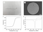 Electrochemical Surface-Enhanced Raman Spectroscopic Studies on Nickel Ultramicroelectrode Figure 2