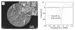 Electrochemical Surface-Enhanced Raman Spectroscopic Studies on Nickel Ultramicroelectrode Figure 3