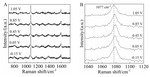 Electrochemical Surface-Enhanced Raman Spectroscopic Studies on Nickel Ultramicroelectrode Figure 6