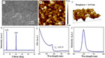 Oxygen-Exposure Induced Rapid Oxidation of Spiro-OMeTAD in CsPbIBr2 Perovskite Solar Cells