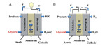 Recent Advances in Glycerol Electrooxidation on Pt and Pd: from Reaction Mechanisms to Catalytic Materials