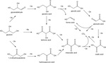 Recent Advances in Glycerol Electrooxidation on Pt and Pd: from Reaction Mechanisms to Catalytic Materials