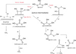 Recent Advances in Glycerol Electrooxidation on Pt and Pd: from Reaction Mechanisms to Catalytic Materials