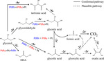 Recent Advances in Glycerol Electrooxidation on Pt and Pd: from Reaction Mechanisms to Catalytic Materials