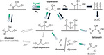 Recent Advances in Glycerol Electrooxidation on Pt and Pd: from Reaction Mechanisms to Catalytic Materials