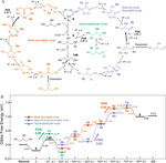 Recent Advances in Glycerol Electrooxidation on Pt and Pd: from Reaction Mechanisms to Catalytic Materials