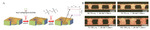 Research and Application of Copper Electroplating in Interconnection of Printed Circuit Board Figure 8