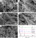 Synthesis and Electrochemical Study of CuAu Nanodendrites for CO2 Reduction