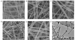 Preparation of Co1-xS-MnS@CNTs/CNFs for Electrocatalytic Oxygen Reduction Reaction Figure 3